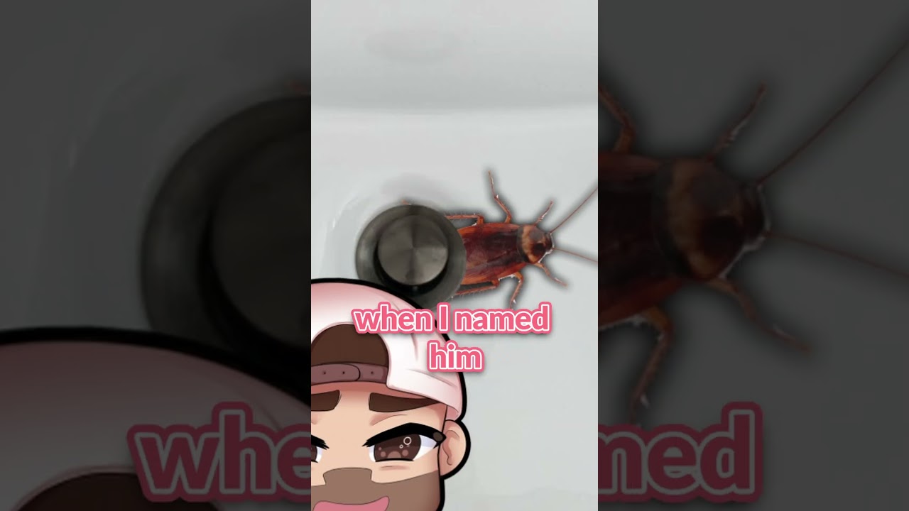 THERE’S A COCKROACH IN MY BATHROOM