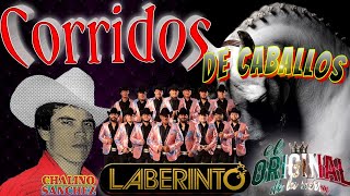 puros corridos Caballos mix lo más chingón💥💥Grupo Laberinto ✪✪ Chalino Sánchez El Rey Del Corrido☆☆