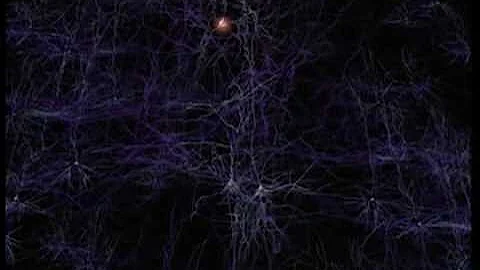 Neurons and how they work