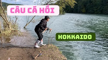 CÂU CÁ BIỂN CÁ SÔNG/ VIDEO TỔNG HỢP CÂU CÁ VÀ NGẮM PHONG CẢNH ĐẸP TẠI HOKKAIDO - NHẬT BẢN #travel