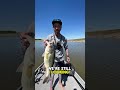 Looking for giant bass in Oklahoma #fishingvideo #fishing #bassfishing