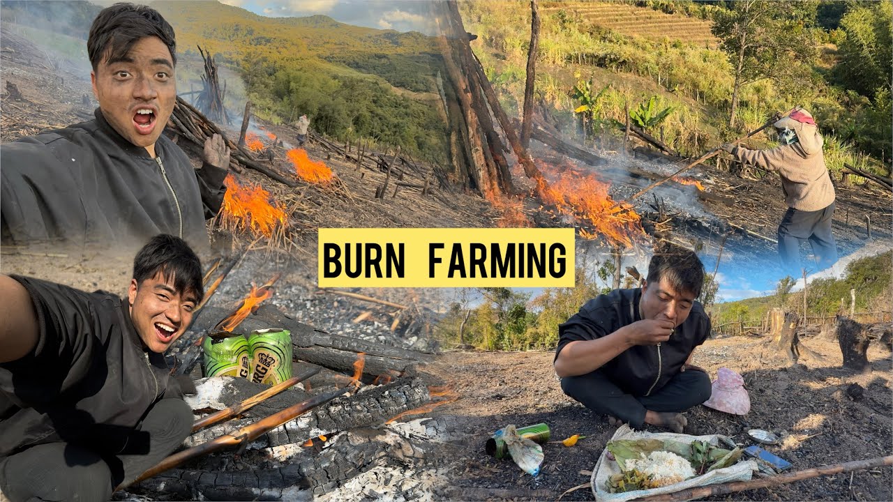 Burn Farming || Village Lifestyle || Arunachal Pradesh 