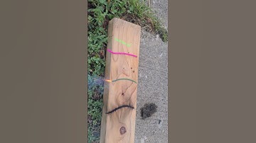 wild fuse test wait till the pink one! it