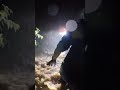 seri alam jungle epic night trail