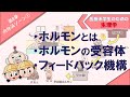 生理学　内分泌ゾーン①　「ホルモンとは」「ホルモンの受容体」「フィードバック機構」