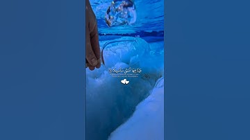 التلاوة الشهيرة 😍#محمد_اللحيدان #quran