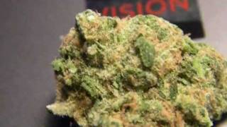 Mr.Davis Marijuana Strain- Citrus kush