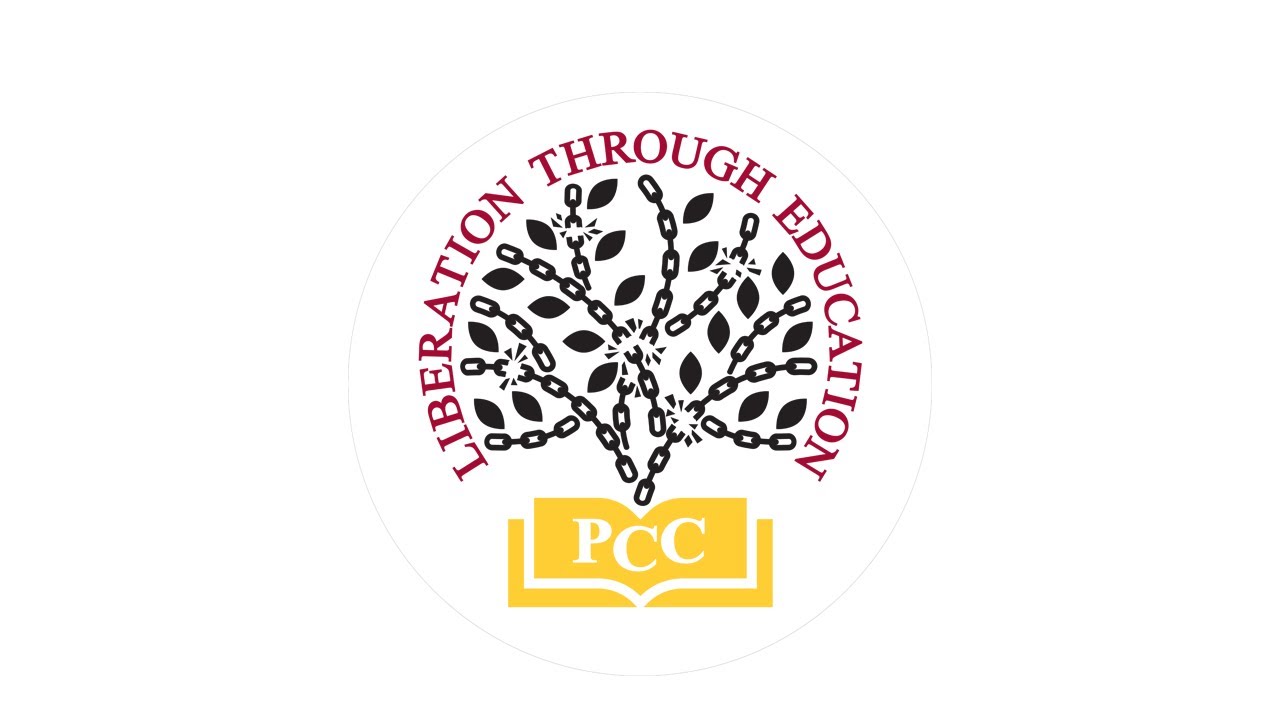 Outline Video Liberation Through Education