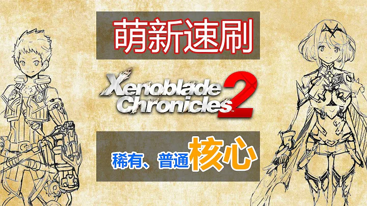 【异度之刃2】稀有核心速99新手必看-异度神剑2-前期稀有普通核心获取教程 - 天天要闻