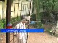 Human Waste Polluting Vaikom