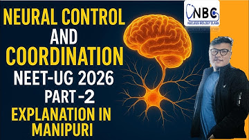 Neural Control and Coordination || Part-2 || Online NEET UG Foundation Course #ncert #neet