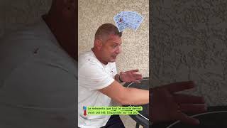 Vous Venez De Vous Faire Mordre Par Un Serpent