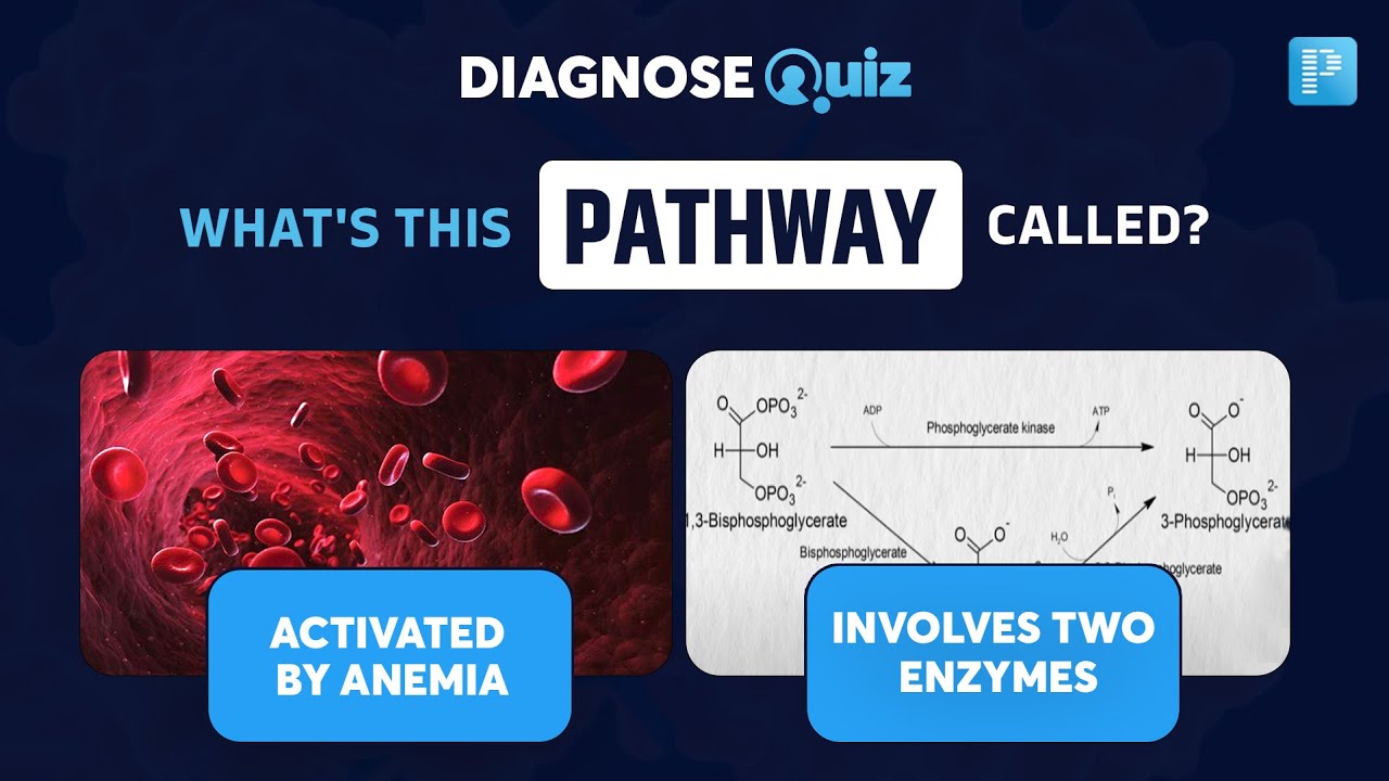 Identify the PATHWAY from the given clues! Diagnose quiz #16 - YouTube