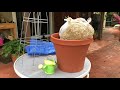 Beginning of video