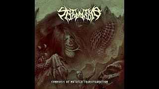 Spit On My Tomb - 2025 - Symbiosis Of Mutated Transfiguration (Death Metal, DR11)