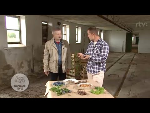 Video: Výsadba ovocných semien – ako a kedy pestovať ovocné semená a kôstky