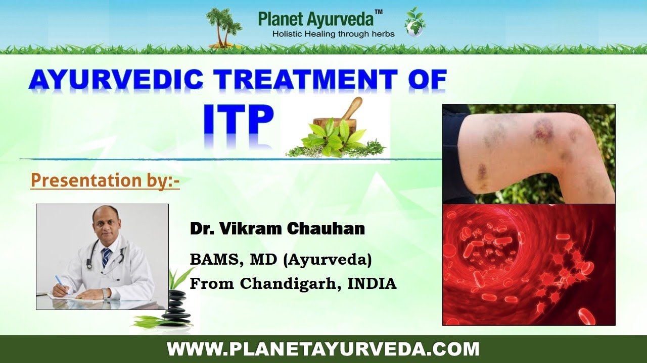 immune thrombocytopenic purpura treatment Ayurvedic Treatment of ITP - By Dr. Vikram Chauhan, MD (Ayurveda), Chandigarh