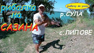картинка: Рибалка на САЗАНА.Р.Сула,с.ЛИПОВЕ.