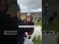 Our Goat Happy Hour was off to a good start according to Levi! 🐐💚 #animaltherapy