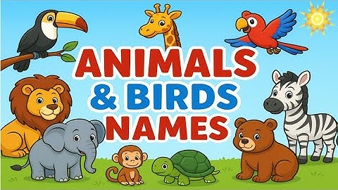 Namen van vogels en dieren in het Engels | Leer meer over dieren en vogelfeiten | Vogels en diere...