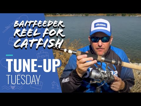 Fishing Tips] How to Catch Catfish with a Baitfeeder Reel - FAQs
