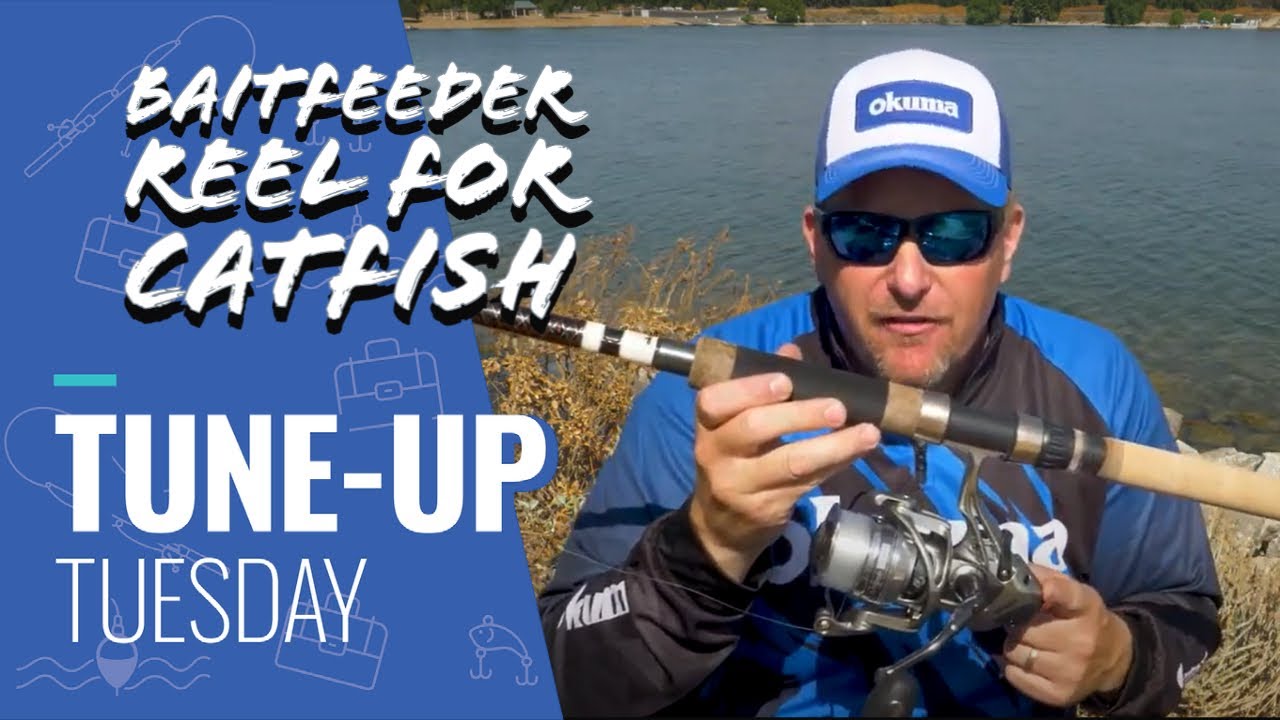 Tune-Up Tuesday: How to Catch Catfish with a Baitfeeder Reel 