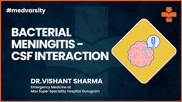 Expert Insights: CSF and Bacterial Meningitis Unraveled