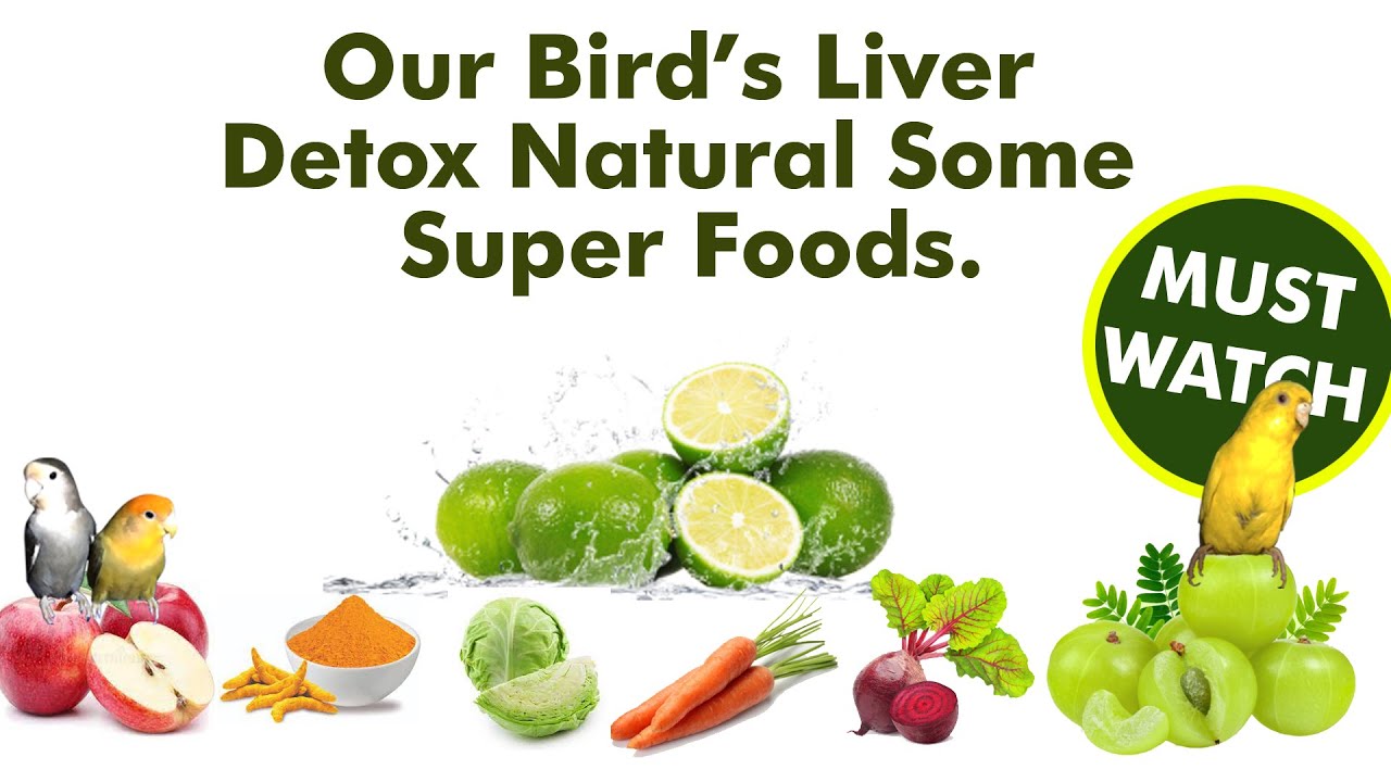 Our Bird’s Liver Detox Natural Some Super Foods. | How To Liver Detox Naturally ?