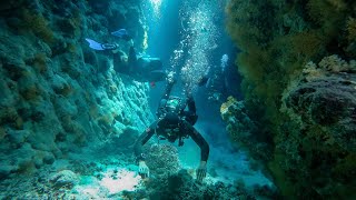 Liveaboard Trip Red Sea Egypt In 2019 - 4K