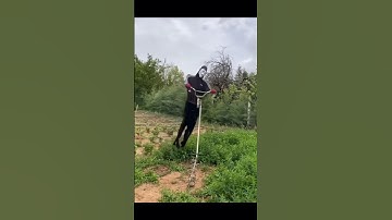 Build an elegant scarecrow in a Chinese village | Seagull scarer