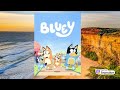 Bluey Salute