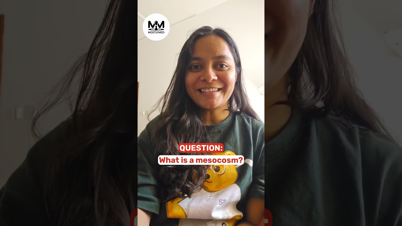 [150] A3.1[FLASHCARD] Diversity of organisms by