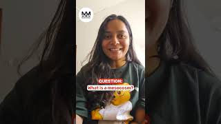 150 A3.1Flashcard Diversity Of Organisms By