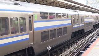 E217系横クラY-15編成横浜駅発車