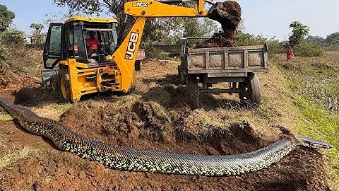 JCB 3dx xpert loading mud In Mahindra 475 JCB miti Khudai #jcb #jcbvideo #farming