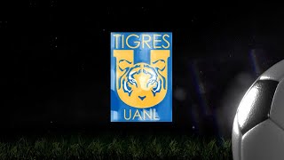 ⚽️👕Unboxing the Most Recent Away Jersey for Tigres 🐯🇲🇽