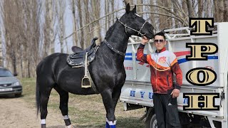 ТроН Камбарга келди