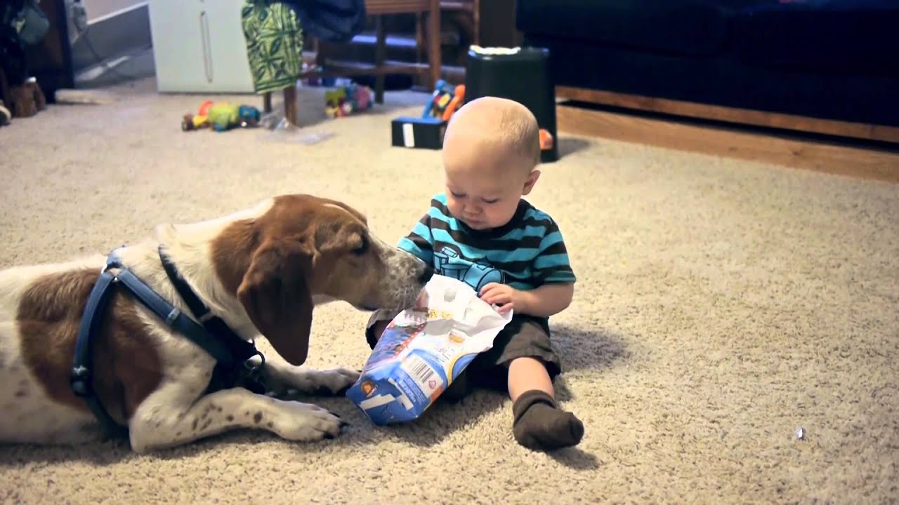 11 Month Old Micah Feeds Dog Goldfish Crackers - YouTube 11 Month Old Micah Feeds Dog Goldfish Crackers - YouTube