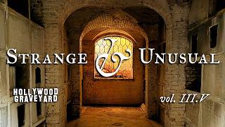 Strange & Unusual Tales from Hollywood Graveyard | vol. III.V