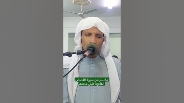 #سورة_القصص #خليل_الزوقري 🎧😌 #اكسبلور #تيك_توك #america #indonesia #ترند