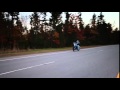 Harley Davidson Wheelie