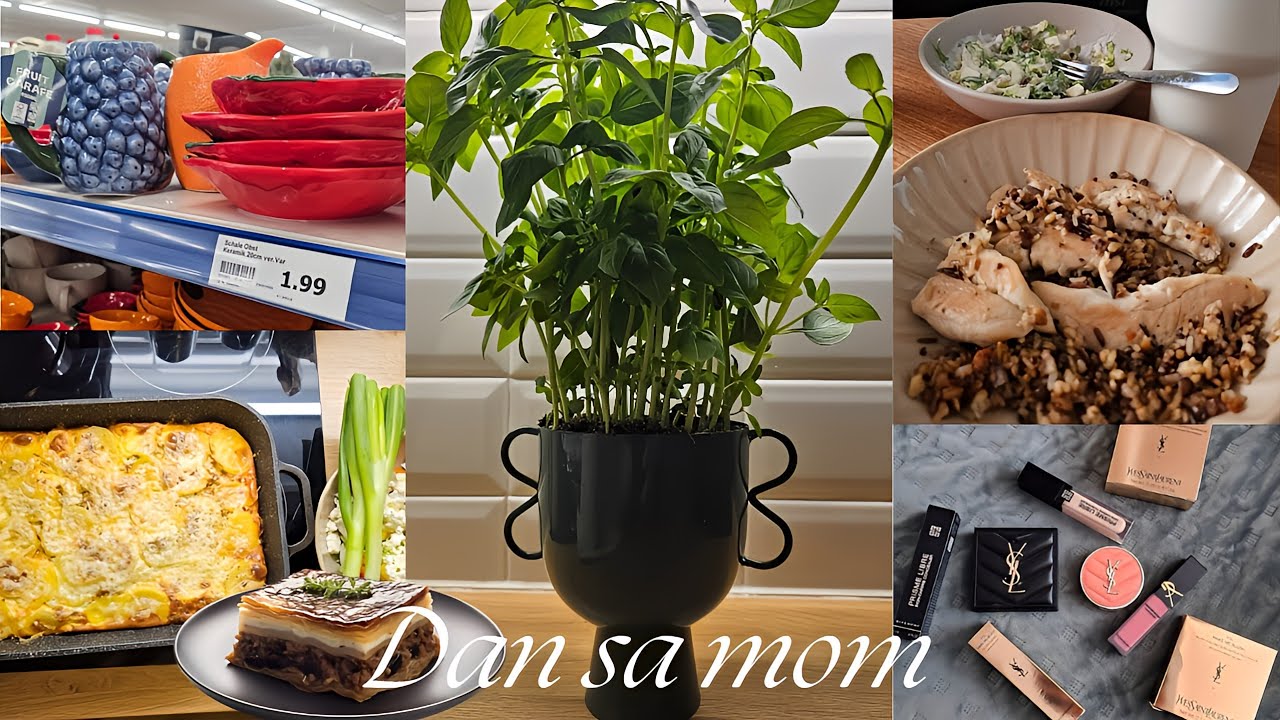 DAN SA MNOM | Musaka na moj način, Action radnja i cijene + Marlenka torta i druženje sa sestrom