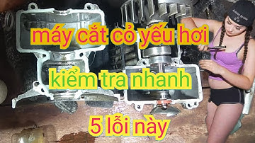 Máy cắt cỏ bị yếu, hụt hơi là do 5 lỗi này và cách khắc phục máy cắt cỏ chạy yếu.