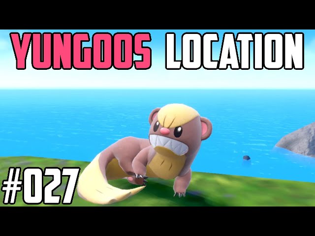 How to Catch Yungoos - Pokmon Scarlet & Violet - YouTube
