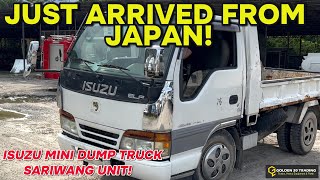 SARIWANG MINI DUMP TRUCK JUST ARRIVED! COMPLETE BUILT UNIT FROM JAPAN🇯🇵