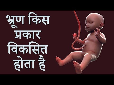 वीडियो: भ्रूण की धुलाई क्या है