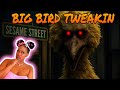 Big Bird Is Definitely On Sum😱 Sesame Nightmare  (Roblox)