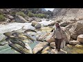 Fishing in Nomadic Life: The Art of Catching and Delicious Cooking in the Heart of Nature