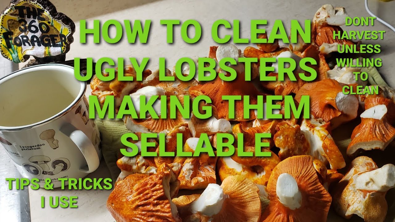 Как я чищу лобстеров 