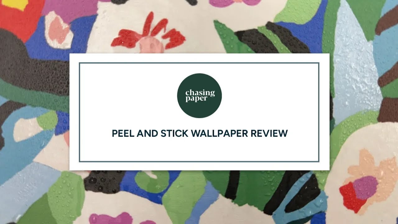 How About Orange Removable wallpaper from Chasing Paper